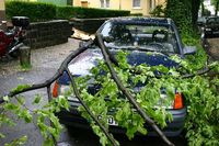 24072010_200704696_200.jpg