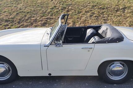 Austin Healey Andere 80.000 km 9.500 &euro; Hamburg 22043