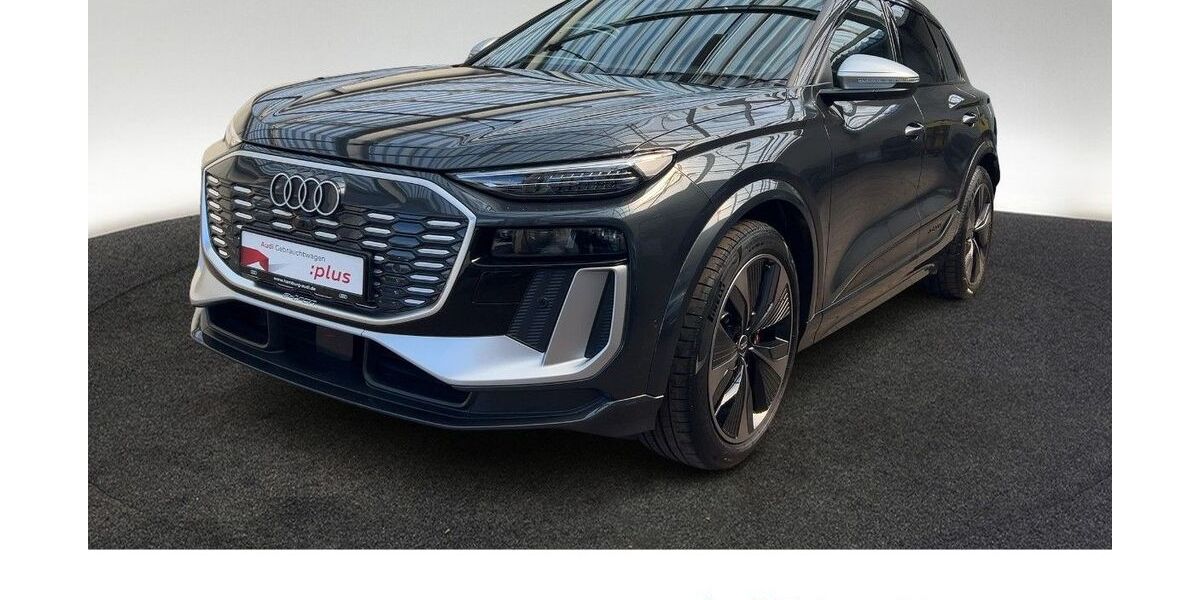 Audi SQ6 e-tron 7.169 km 78.980 &euro; Hamburg 22529
