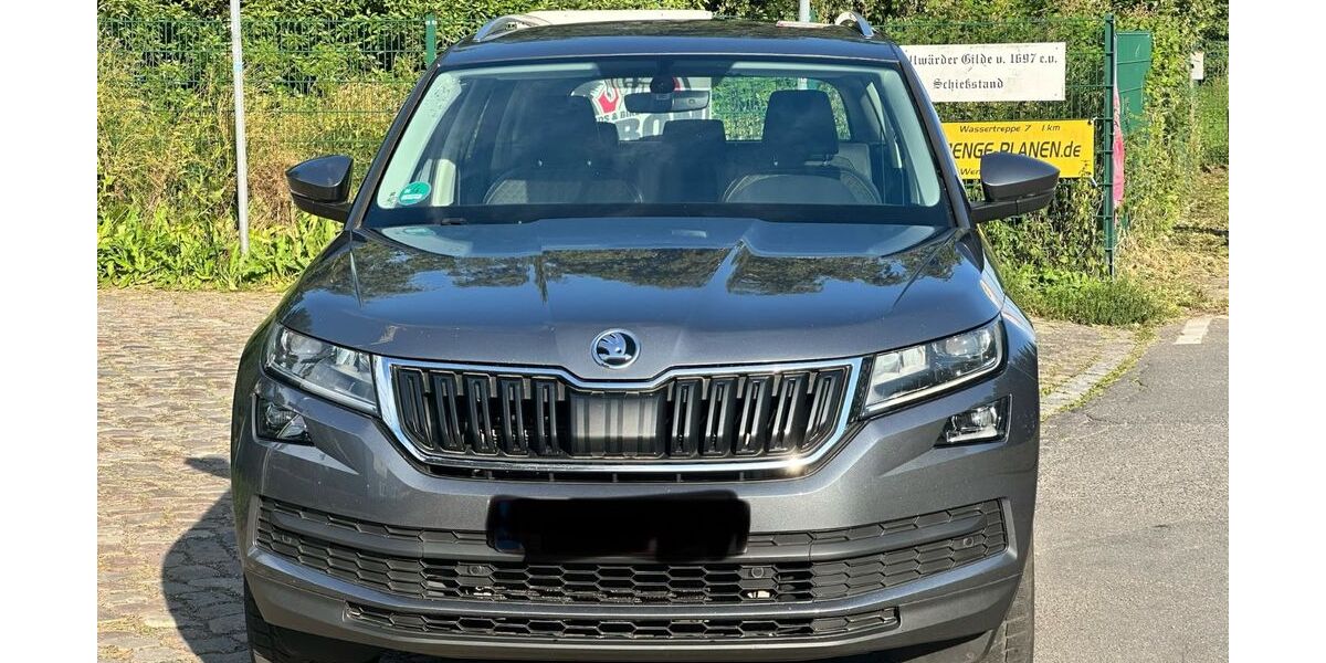 Skoda Kodiaq 171.000 km 17.050 &euro; Hamburg 22113