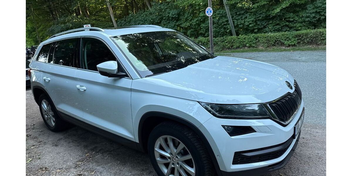 Skoda Kodiaq 98.000 km 22.900 &euro; Hamburg 22549