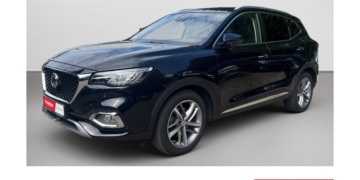 MG EHS 60.966 km 17.490 &euro; Hamburg 22045