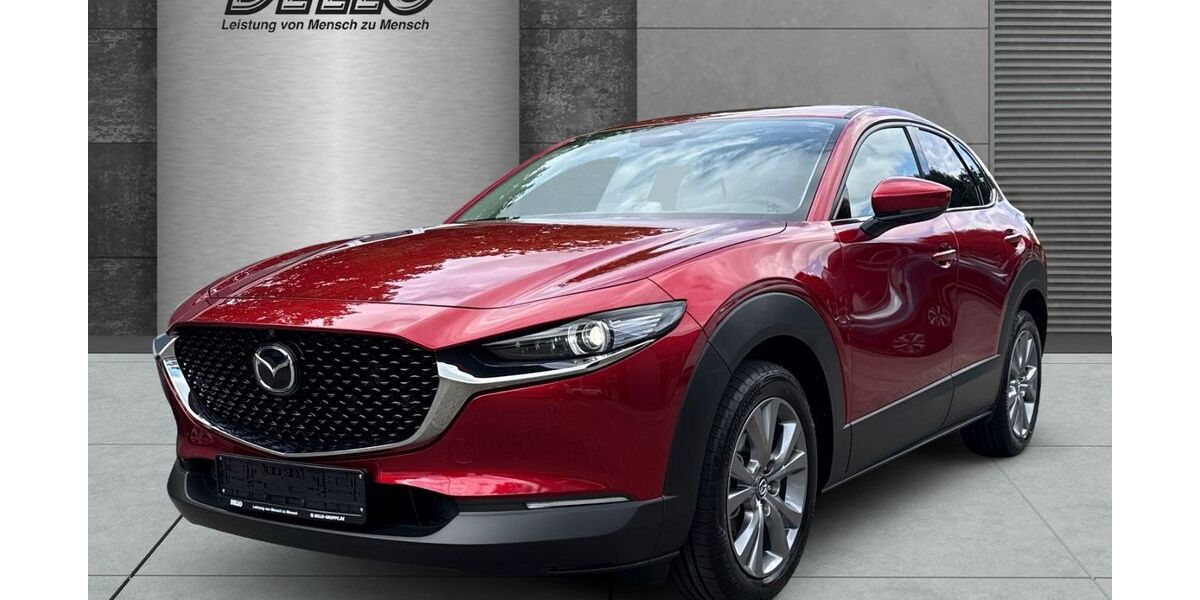 Mazda CX-30 8.000 km 27.980 &euro; Hamburg 21079