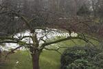 Etagenwohnung Hamburg Winterhude - 3 Zimmer, 89 m&sup2;, 1.500&euro; | Angebot:26393433