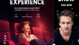The Anime Experience